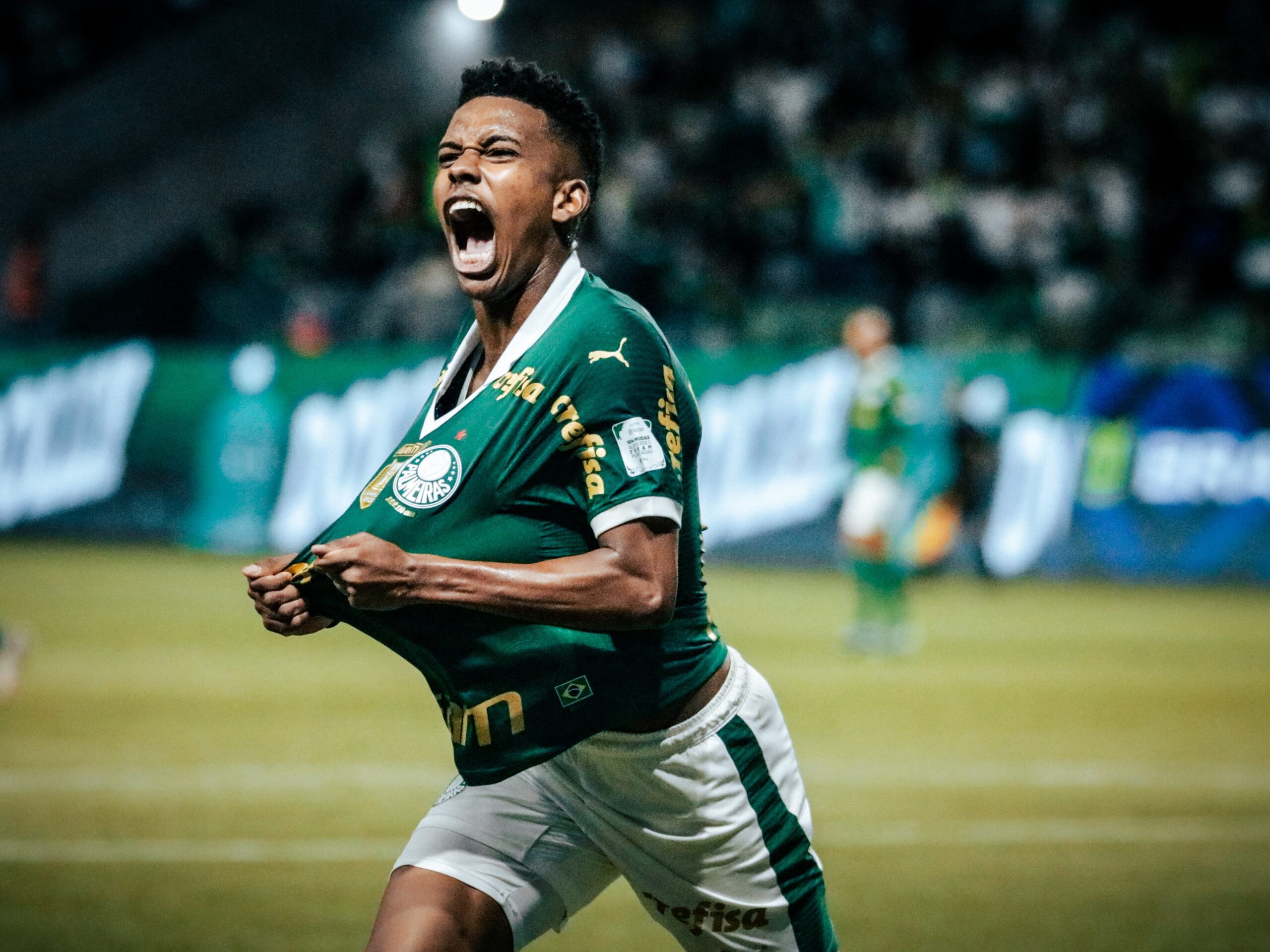 O Palmeiras venceu o Grêmio por 1 a 0 no Allianz Parque em 8 de novembro de 2024, na 33ª rodada do Campeonato Brasileiro.
