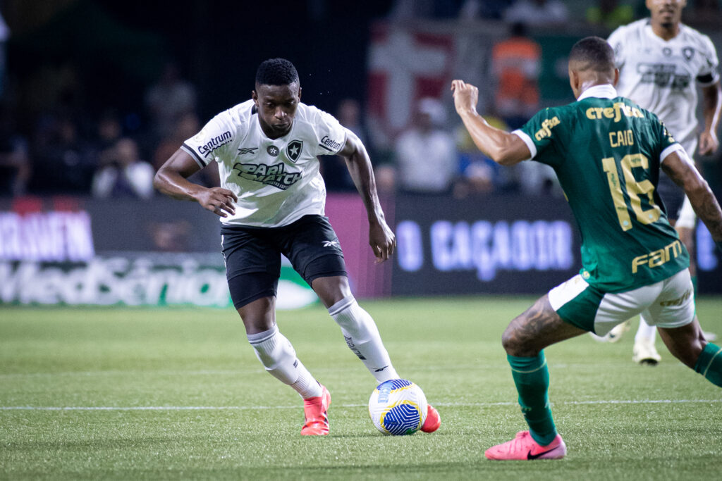 Botafogo reassumiu q liderança vencer palmeiras no Brasileirão