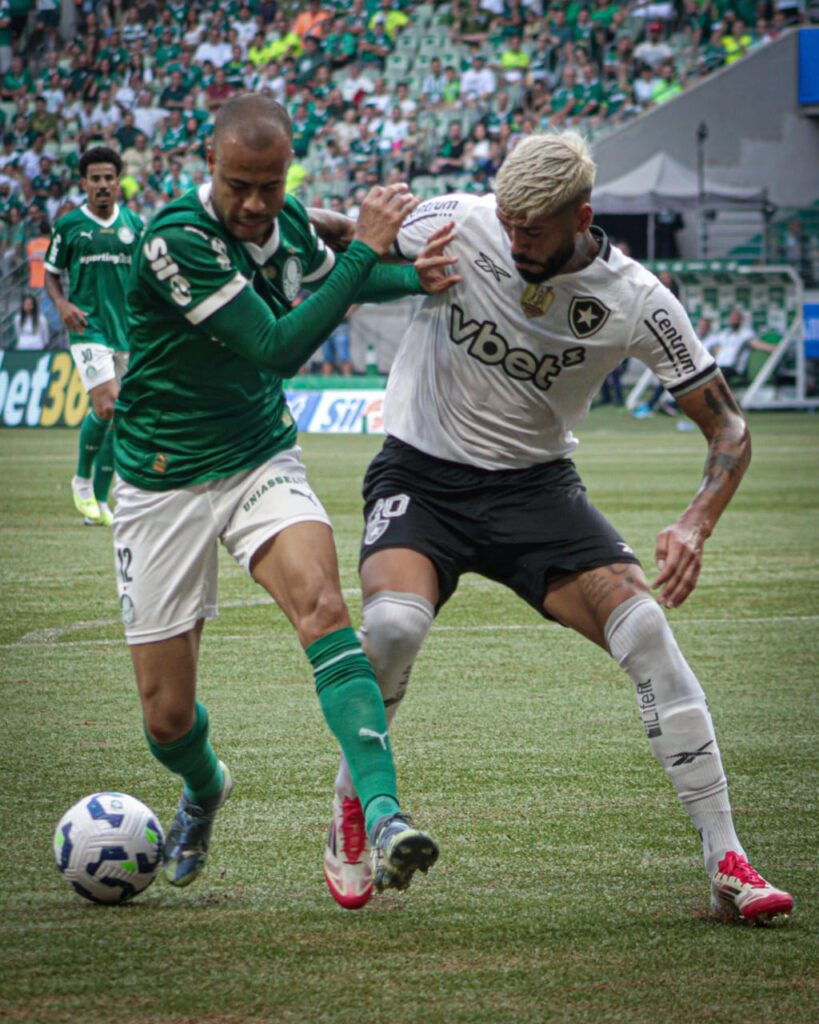 PALMEIRA ESTREIA NO BRASILEIRO COM EMPATE DIANTE DO BOTAFOGO POR 0X0 EM CASA