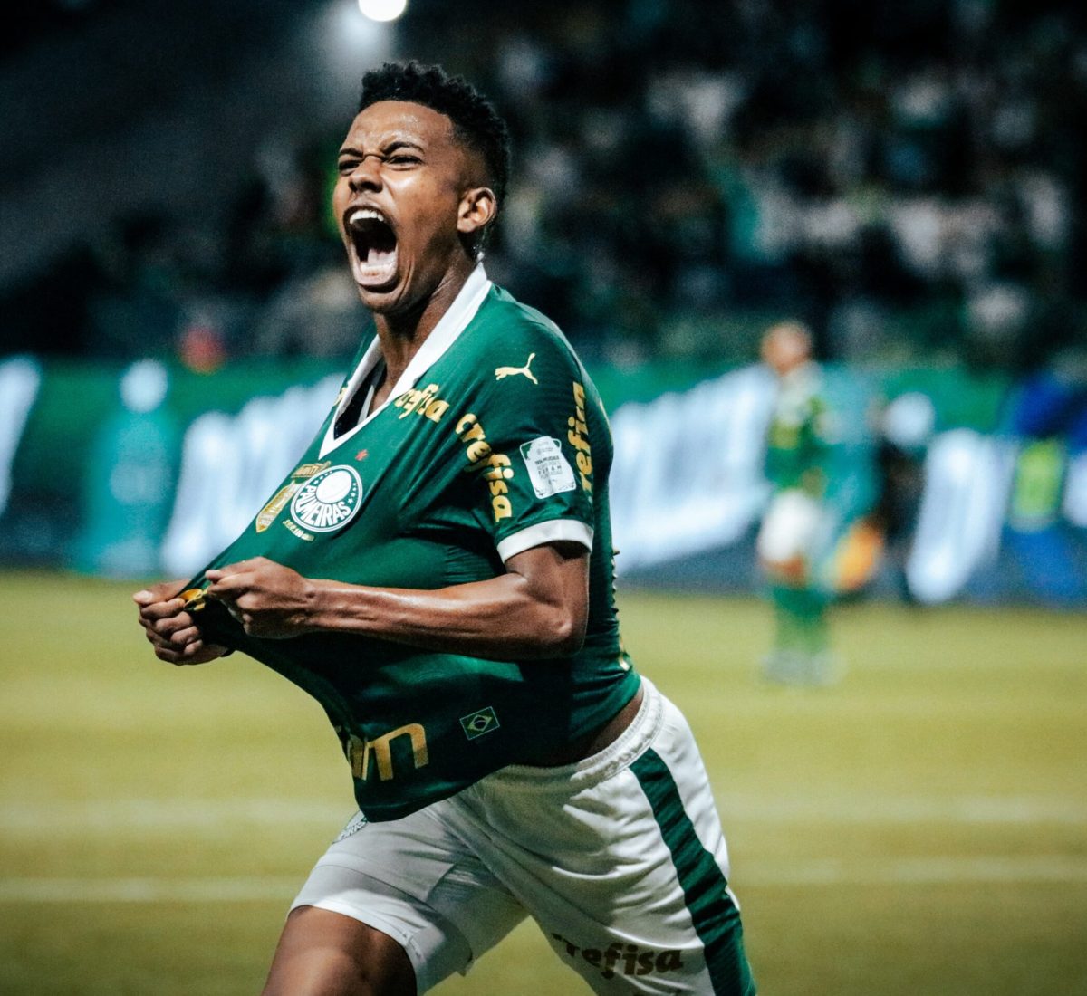 O Palmeiras venceu o Grêmio por 1 a 0 no Allianz Parque em 8 de novembro de 2024, na 33ª rodada do Campeonato Brasileiro.