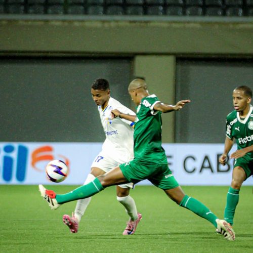 PALMEIRA GOLEIA TIME DO BATALHAO POR 9X0 PELA COPA SAO PAULO