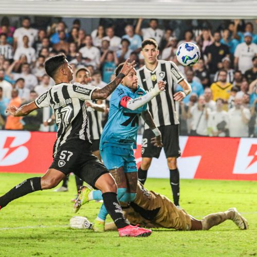 SANTOS X BOTAFOGO - CAMPEONATO BRASILEIRO - FOTOS- @DEEH_FOTOGRAFIA13