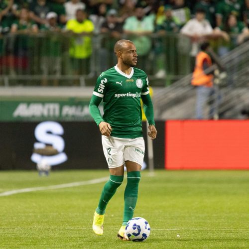 PALMEIRAS X EARA - COPA DO BRASIL - FOTOS - ALAN DE OLIVEIRA SILVA 