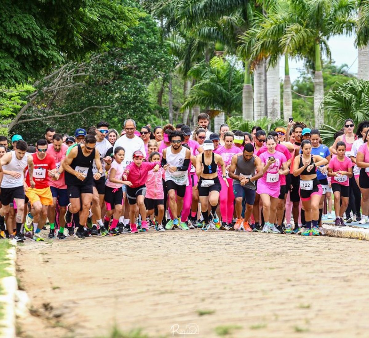 Primeira Corrida e Caminhada Viver Fit Celebra Saúde e Conscientização