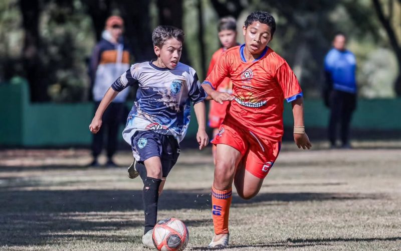 FABRICA 1 DE PERDENEIRA VENCE O TIME DO JJ DE ARARAS NOS PEALTIS E VAI PRA FINAL DA GOLD CUP EM DOURADOS -SP